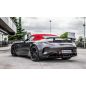 Tramos traseros grupo N en acero inox Mercedes AMG GT(190) / (Coupè / Roadster) GT-R 4.0i V8 (430kW) 2017 - Hoy