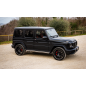 Silencioso trasero doble en acero inox  Mercedes Classe G (W463) 2018 G63 AMG 4.0 V8 (430kW) 07/2020 - Hoy
