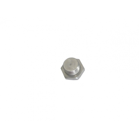 Tornillo para tapar sonda lambda Ragazzon
