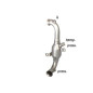Catalyseur Groupe N  + Suppression FAP en inox Citroën C3 1.6HDI - 1.6EHDI (68KW) 11/2009 - AUJOURD'HUI