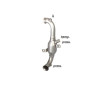Catalizador deporte + tramo sustitución filtro antipartículas Citroën DS3 1.6HDI - 1.6eHDI (82KW) 03/2010 - 2012