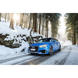 Tramos delanteros en acero inox Audi RS3 SPORTBACK 2.5TFSI QUATTRO (294KW) 2017 - Hoy