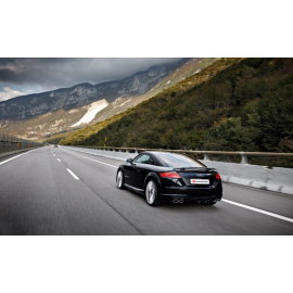 Silencioso trasero doble en acero inox con valvulas integradas Audi TTS 2.0TFSI QUATTRO (228KW) 10/2014 - 06/2018