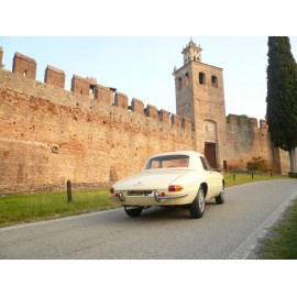 Silencieux arrière Alfa Romeo Duetto / Spider 1° SERIE - 1.3 Junior (89CV) 'OSSO DI SEPPIA' 1968-1969