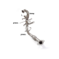 Tube remplacement Catalyseur + tube  suppression fap en inox FORD C-MAX PHASE (2) 1.6TDCI (85KW) 10/2010 - 2015