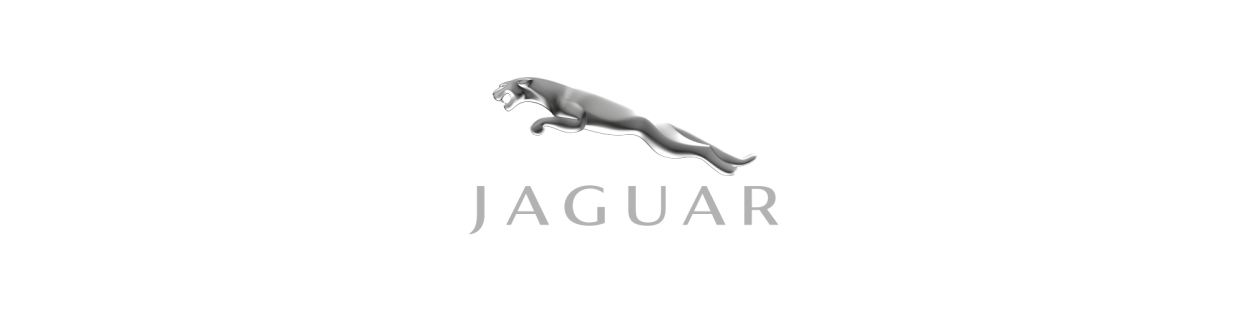 Escape Ragazzon para Jaguar – Inox Deportivo Premium